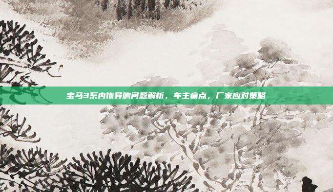 宝马3系内饰异响问题解析，车主痛点，厂家应对策略