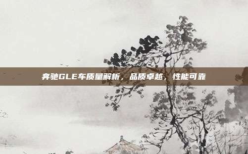 奔驰GLE车质量解析，品质卓越，性能可靠