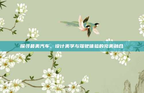探寻最美汽车，设计美学与驾驶体验的完美融合