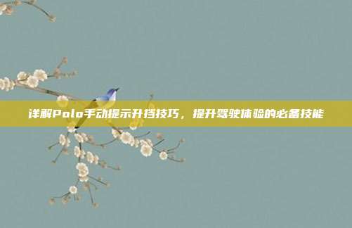 详解Polo手动提示升挡技巧，提升驾驶体验的必备技能
