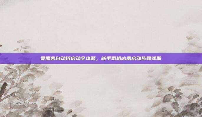 爱丽舍自动挡启动全攻略，新手司机必备启动步骤详解