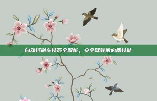 自动挡刹车技巧全解析，安全驾驶的必备技能