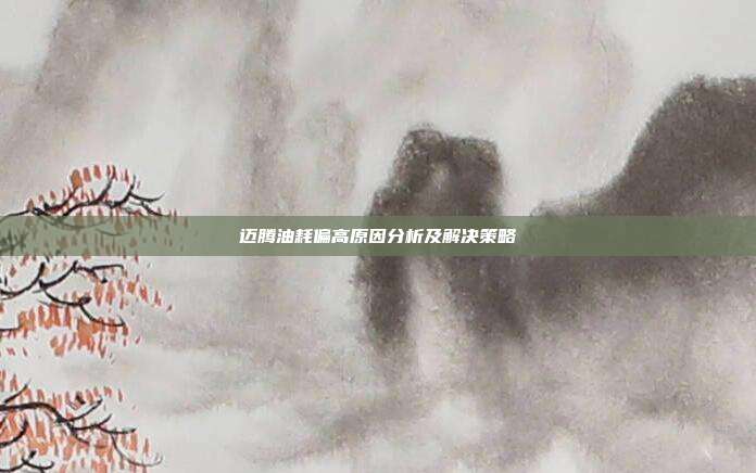 迈腾油耗偏高原因分析及解决策略