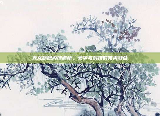 天龙旗舰内饰解析，豪华与科技的完美融合
