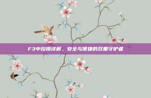 F3中控锁详解，安全与便捷的双重守护者