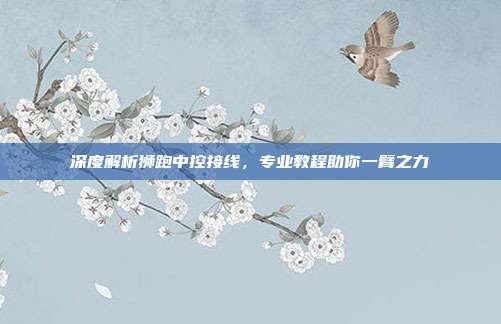 深度解析狮跑中控接线，专业教程助你一臂之力