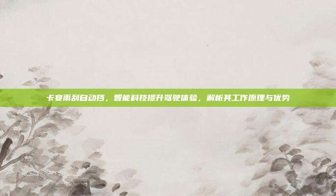 卡宴雨刮自动挡，智能科技提升驾驶体验，解析其工作原理与优势