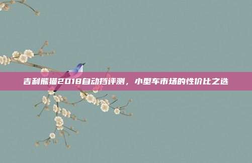 吉利熊猫2018自动挡评测，小型车市场的性价比之选