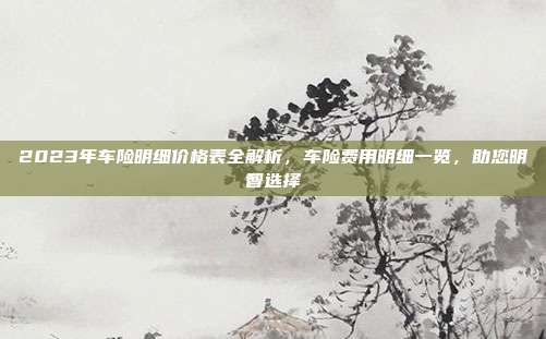 2023年车险明细价格表全解析，车险费用明细一览，助您明智选择