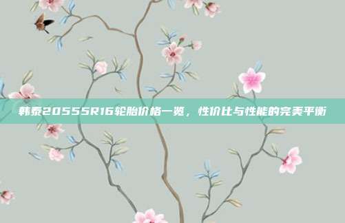 韩泰20555R16轮胎价格一览，性价比与性能的完美平衡