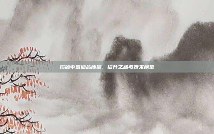 揭秘中国油品质量，提升之路与未来展望