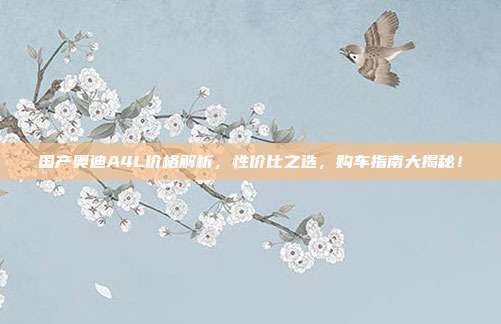 国产奥迪A4L价格解析，性价比之选，购车指南大揭秘！