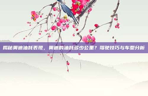 揭秘奥迪油耗表现，奥迪的油耗多少公里？驾驶技巧与车型分析