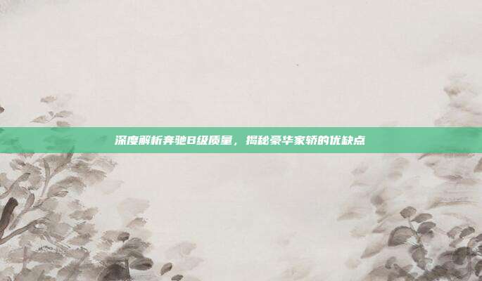 深度解析奔驰B级质量，揭秘豪华家轿的优缺点