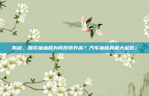 揭秘，加完油油耗为何反而升高？汽车油耗真相大起底！