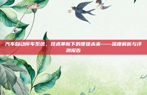 汽车自动停车系统，技术革新下的便捷未来——深度解析与评测报告
