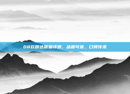 08款颐达质量评测，品质可靠，口碑传承