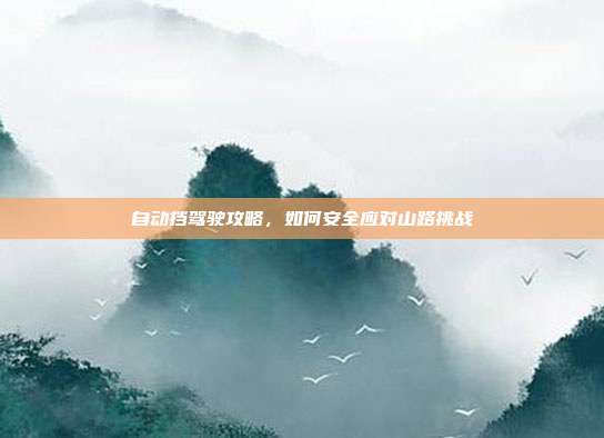 自动挡驾驶攻略，如何安全应对山路挑战