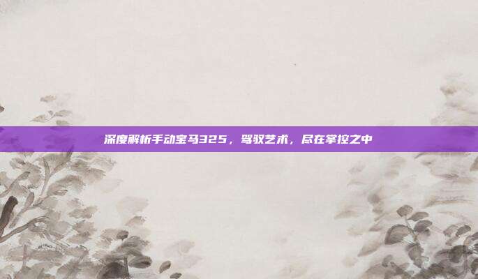 深度解析手动宝马325，驾驭艺术，尽在掌控之中