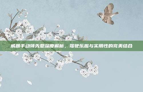 威朗手动领先型深度解析，驾驶乐趣与实用性的完美结合