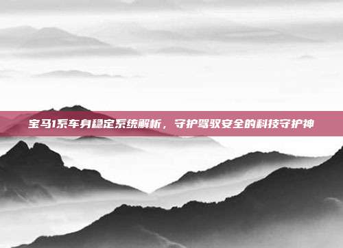 宝马1系车身稳定系统解析，守护驾驭安全的科技守护神