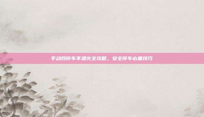 手动挡停车不熄火全攻略，安全停车必备技巧