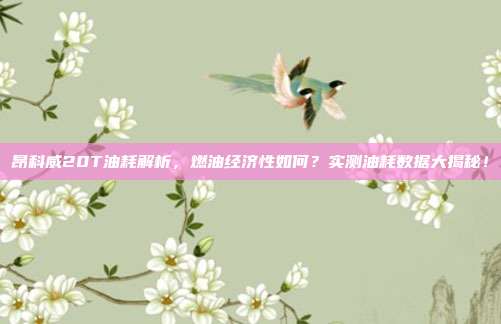 昂科威20T油耗解析，燃油经济性如何？实测油耗数据大揭秘！
