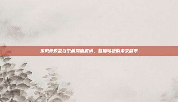 东风标致互联系统深度解析，智能驾驶的未来篇章