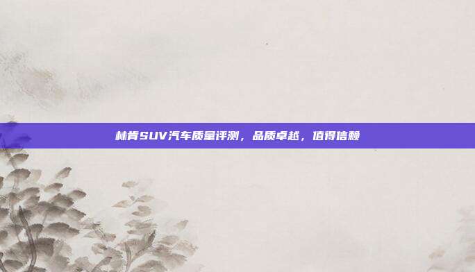 林肯SUV汽车质量评测，品质卓越，值得信赖