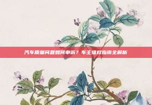 汽车质量问题如何申诉？车主维权指南全解析