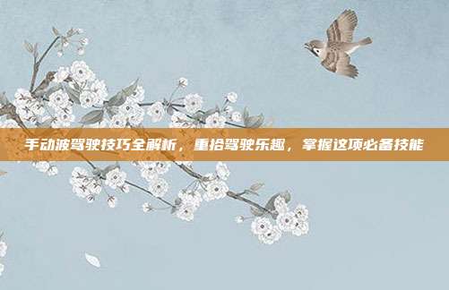 手动波驾驶技巧全解析，重拾驾驶乐趣，掌握这项必备技能