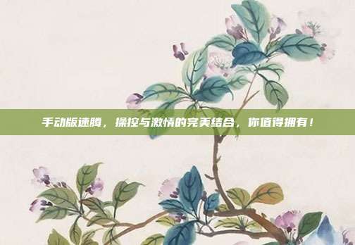 手动版速腾，操控与激情的完美结合，你值得拥有！