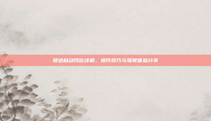 骐达自动挡位详解，操作技巧与驾驶体验分享