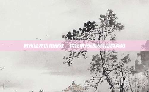 杭州途昂价格暴跌，揭秘市场动荡背后的真相