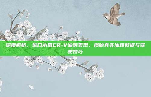 深度解析，进口本田CR-V油耗表现，揭秘真实油耗数据与驾驶技巧