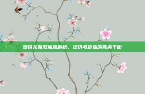 雪铁龙凯旋油耗解析，经济与舒适的完美平衡