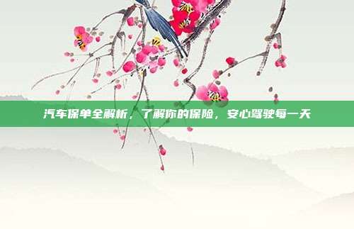 汽车保单全解析，了解你的保险，安心驾驶每一天