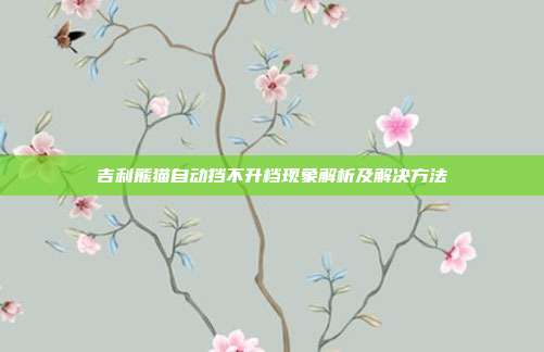 吉利熊猫自动挡不升档现象解析及解决方法