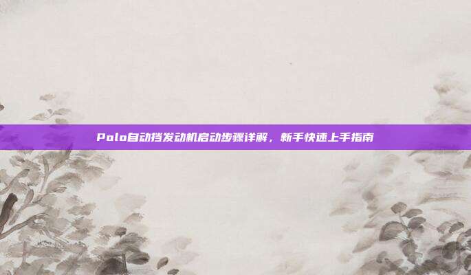 Polo自动挡发动机启动步骤详解，新手快速上手指南