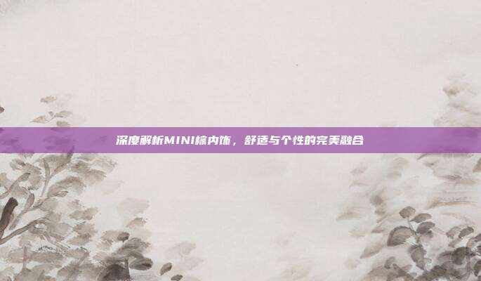深度解析MINI棕内饰，舒适与个性的完美融合