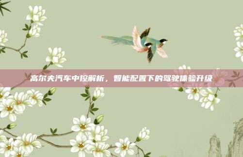 高尔夫汽车中控解析，智能配置下的驾驶体验升级