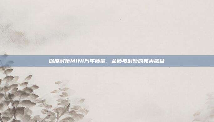 深度解析MINI汽车质量，品质与创新的完美融合
