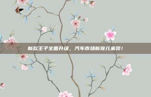 新款王子全面升级，汽车市场新宠儿来袭！