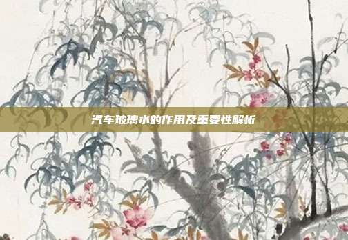 汽车玻璃水的作用及重要性解析
