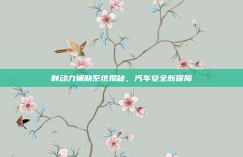 制动力辅助系统揭秘，汽车安全新保障