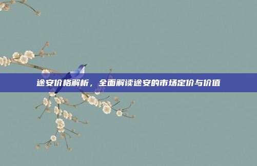 途安价格解析，全面解读途安的市场定价与价值