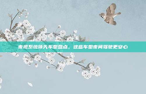 夜视系统领先车型盘点，这些车型夜间驾驶更安心