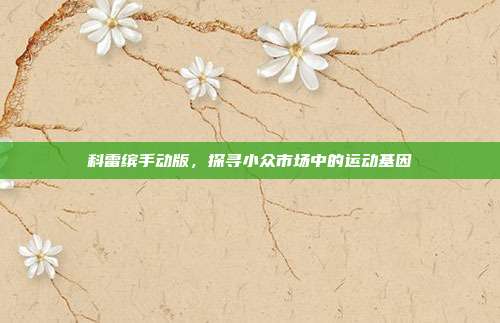 科雷缤手动版，探寻小众市场中的运动基因