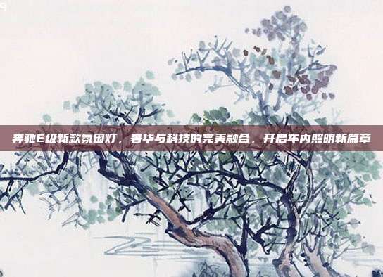 奔驰E级新款氛围灯，奢华与科技的完美融合，开启车内照明新篇章