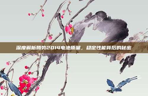 深度解析腾势2014电池质量，稳定性能背后的秘密